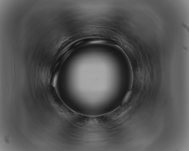 X0000092280600200709141222