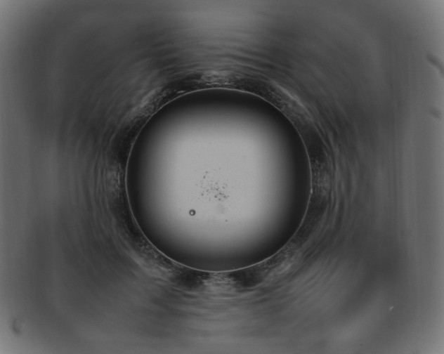 X0000092280603200709141222