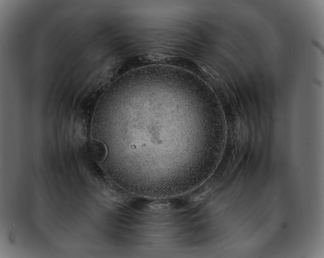 X0000092280606200709141222