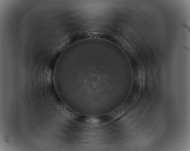 X0000092280610200709141222