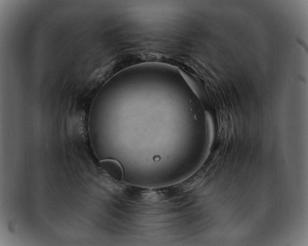 X0000092280616200709141222