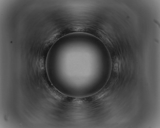 X0000092280620200709141222