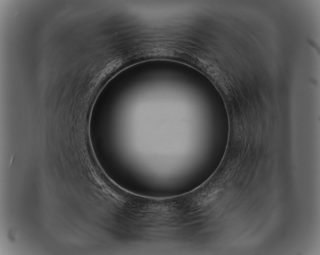 X0000092280625200709141221