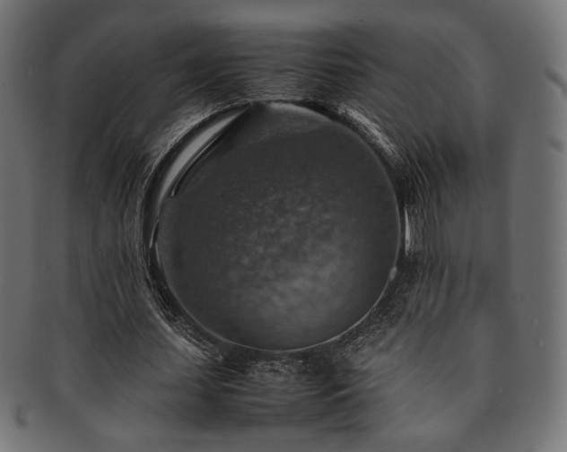 X0000092280627200709141221