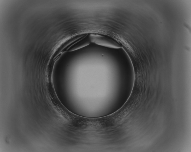 X0000092280628200709141221