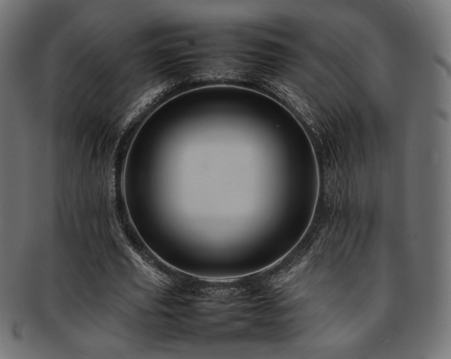 X0000092280629200709141221