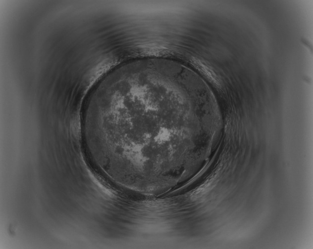 X0000092280630200709141221