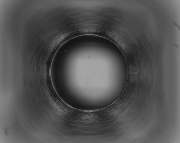 X0000092280631200709141221