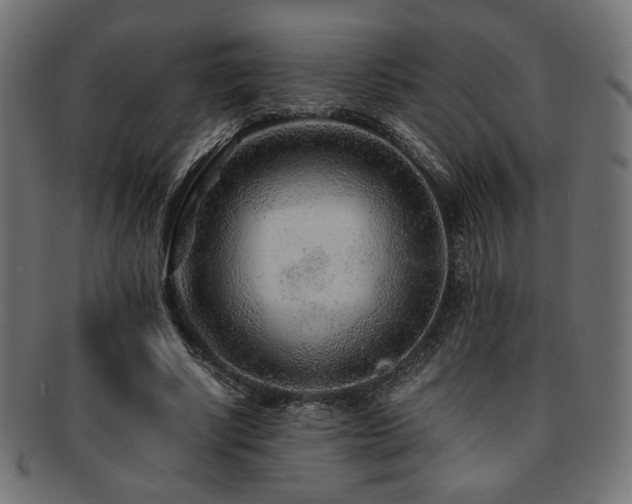 X0000092280634200709141221