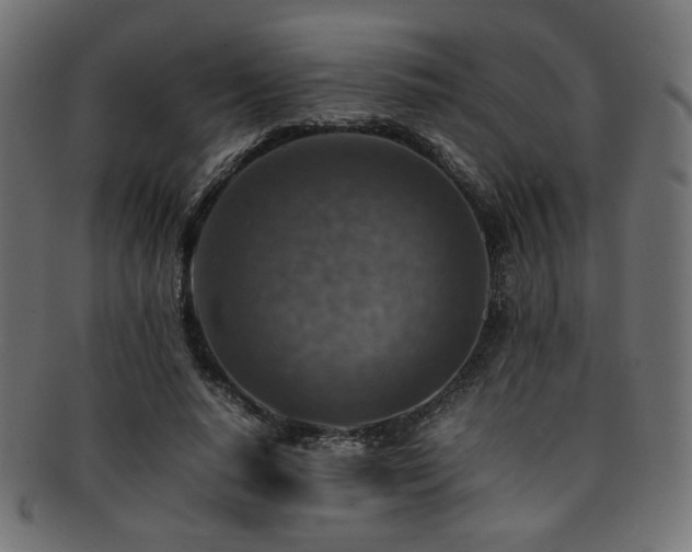 X0000092280640200709141222