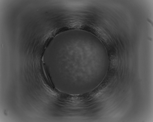 X0000092280641200709141222