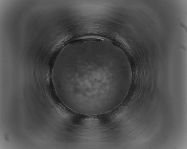 X0000092280644200709141222