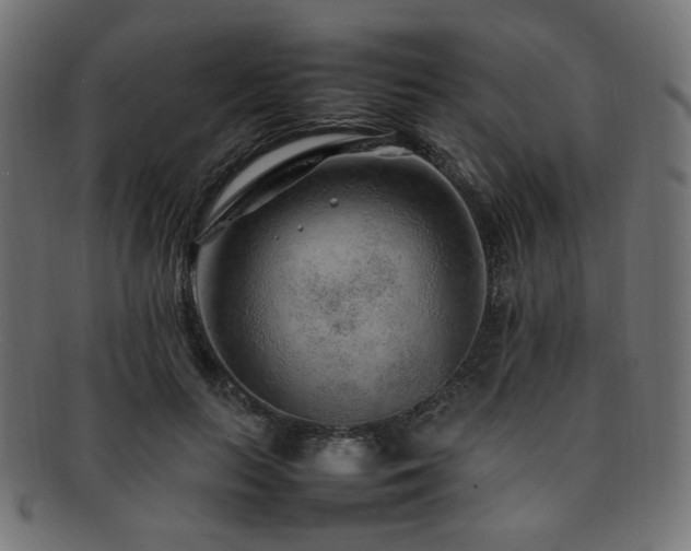 X0000092280647200709141222