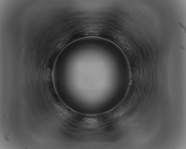 X0000092280649200709141222