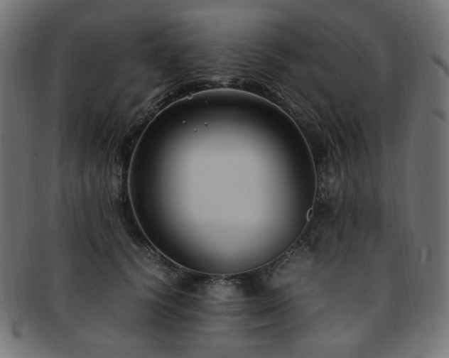 X0000092280656200709141222