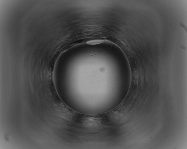 X0000092280657200709141222