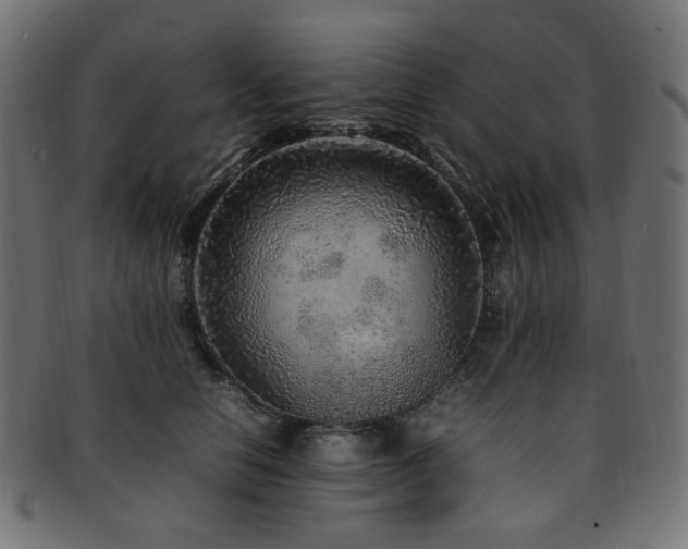 X0000092280658200709141222