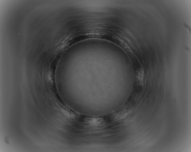 X0000092280663200709141222