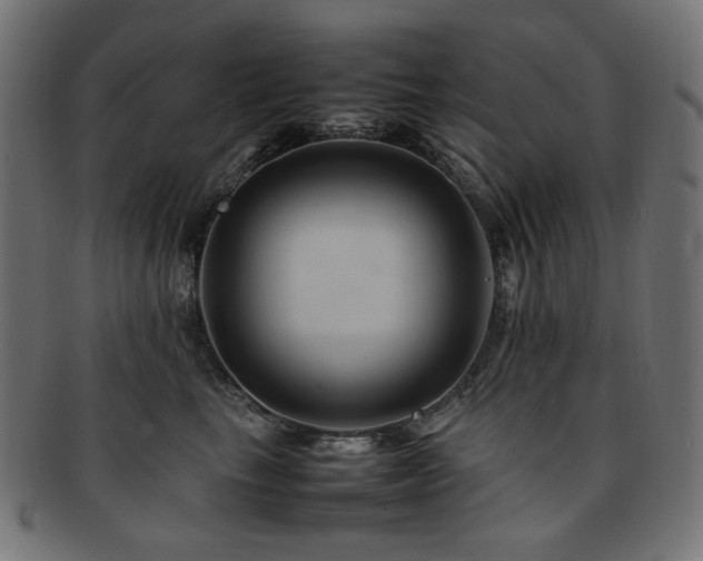 X0000092280665200709141222