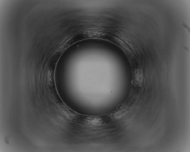 X0000092280667200709141222