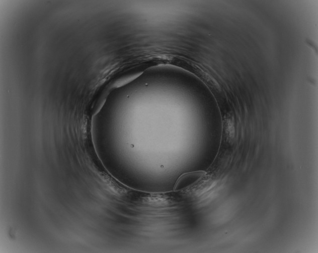 X0000092280668200709141222