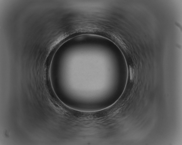 X0000092280675200709141221