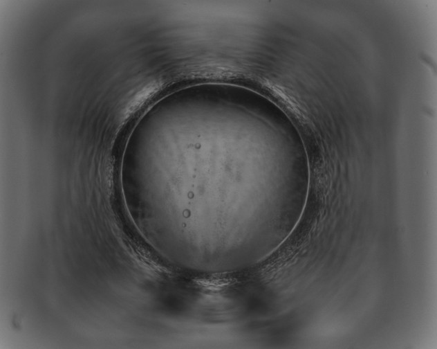 X0000092280679200709141221