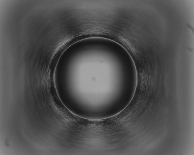 X0000092280680200709141221