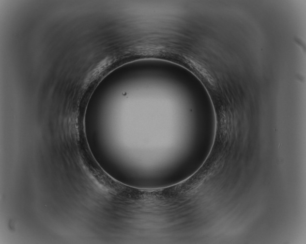 X0000092280682200709141221