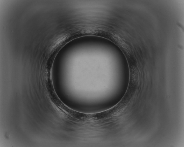 X0000092280683200709141221