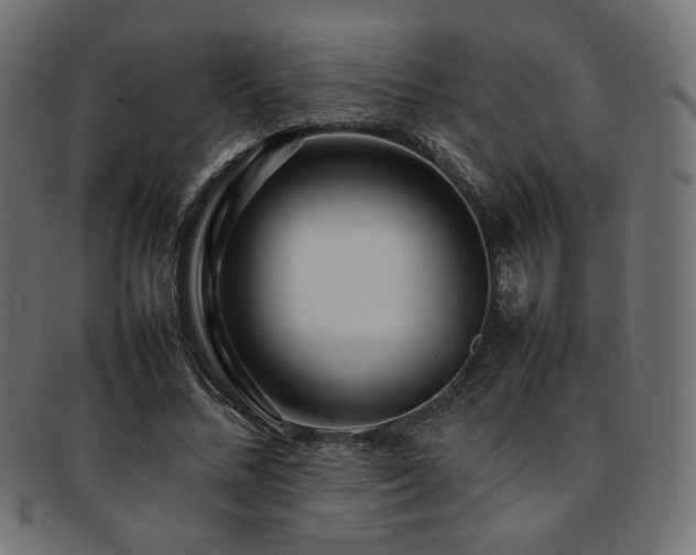 X0000092280684200709141221