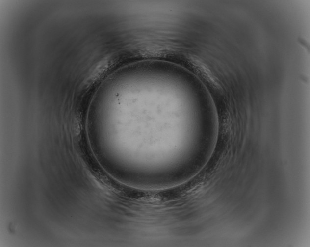 X0000092280687200709141221