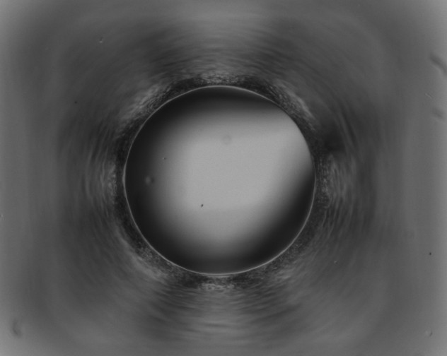 X0000092280690200709141221