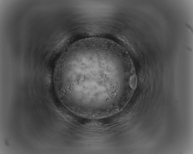 X0000092280691200709141221