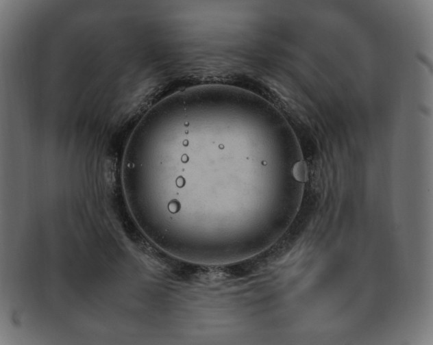 X0000092280695200709141221