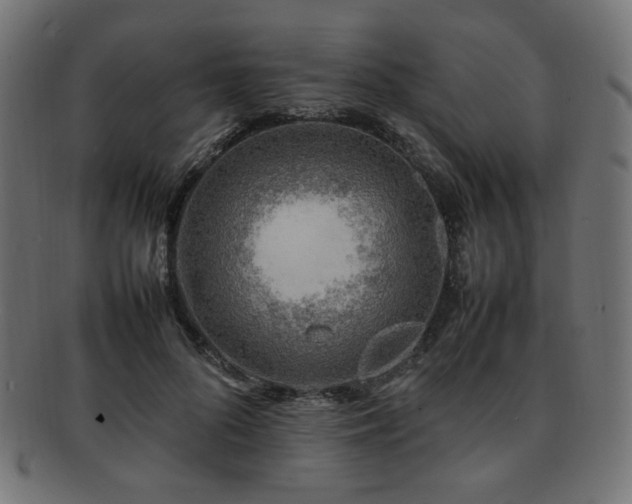 X0000092280696200709141221