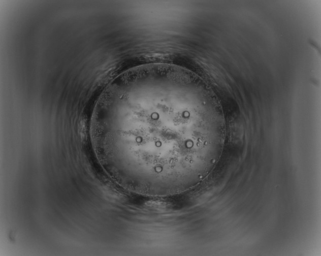 X0000092280699200709141221