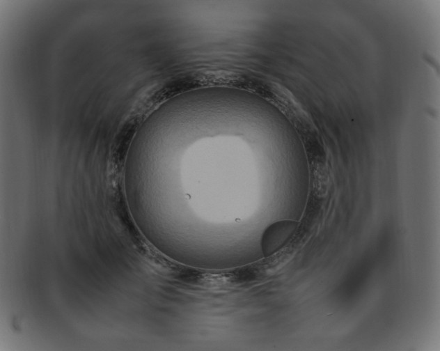 X0000092280701200709141221