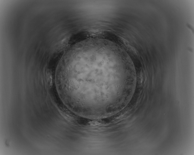 X0000092280703200709141221