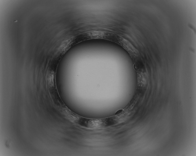 X0000092280717200709141221