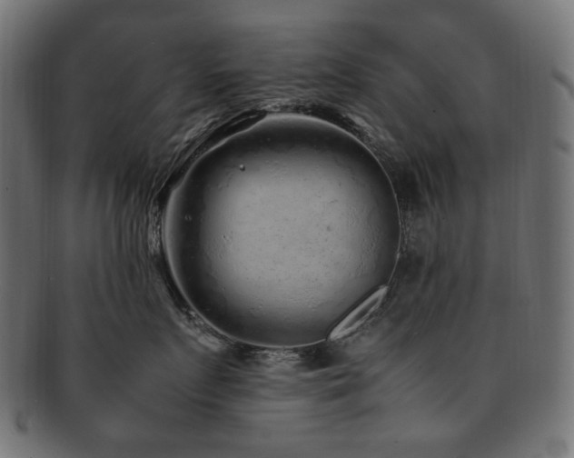 X0000092280719200709141221