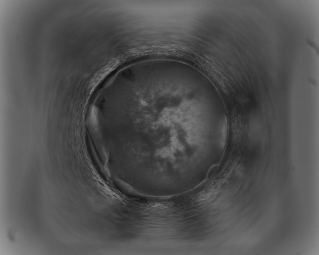 X0000092280721200709141220