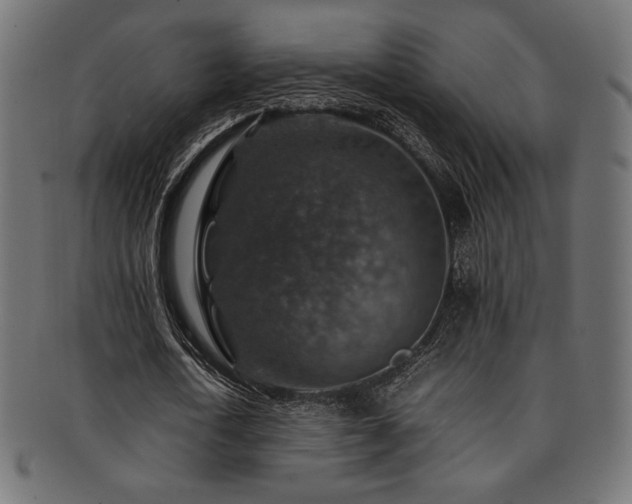 X0000092280722200709141220