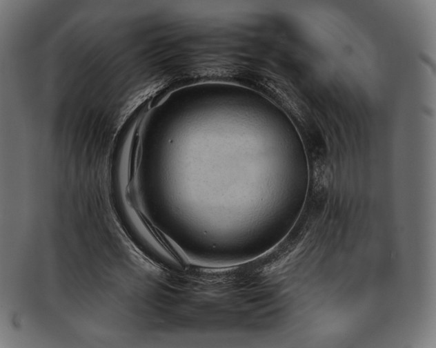 X0000092280725200709141220