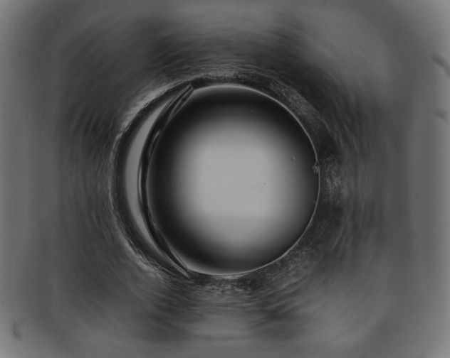 X0000092280728200709141220