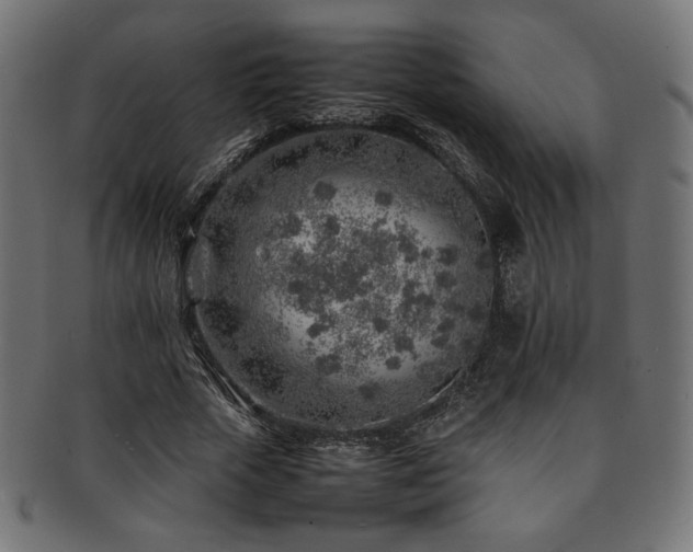 X0000092280729200709141220