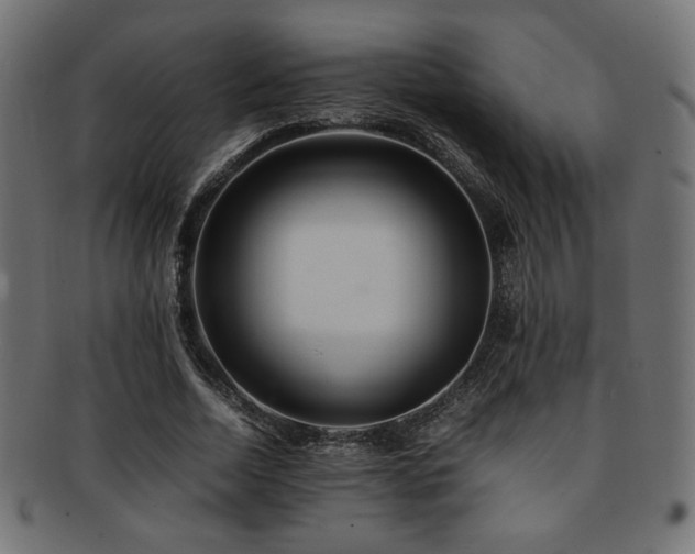 X0000092280730200709141220