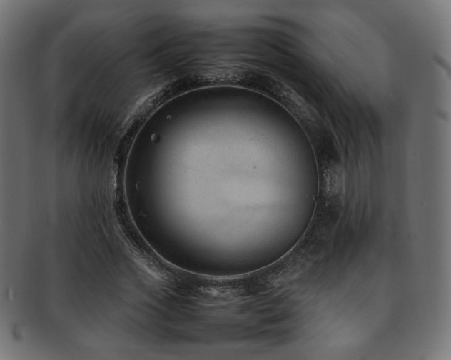 X0000092280733200709141220