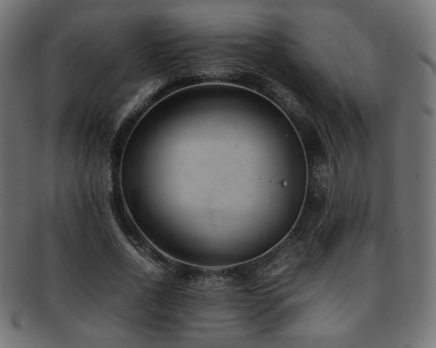 X0000092280734200709141220