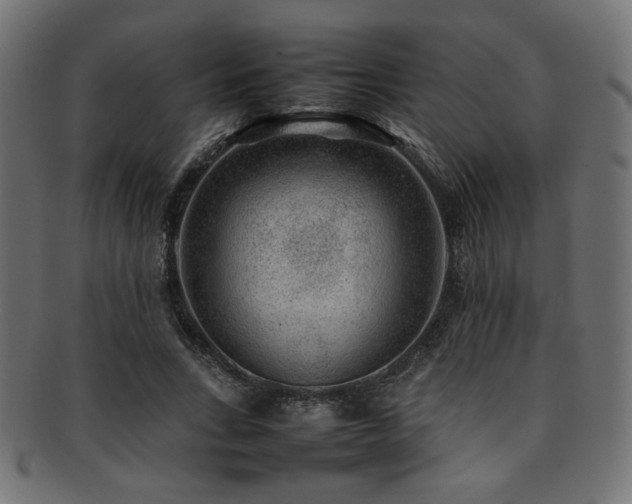 X0000092280735200709141220